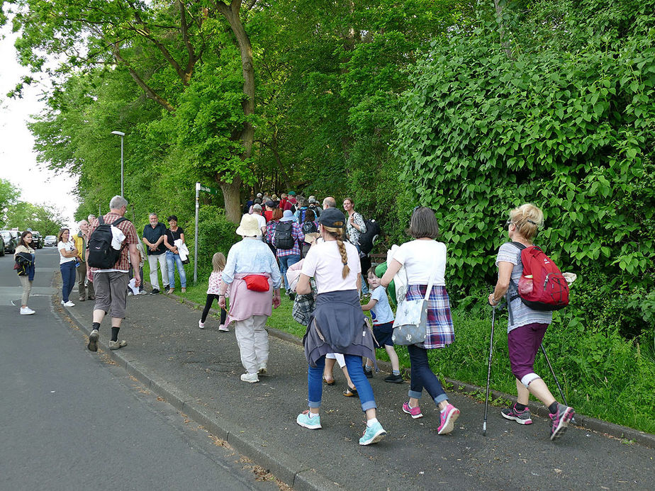 Baunataler Wallfahrt zur Naumburger Fatima Grotte (Foto: Karl-Franz Thiede)